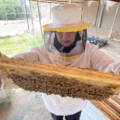 Beekeeping: a success story for women and girls from Jiftlik